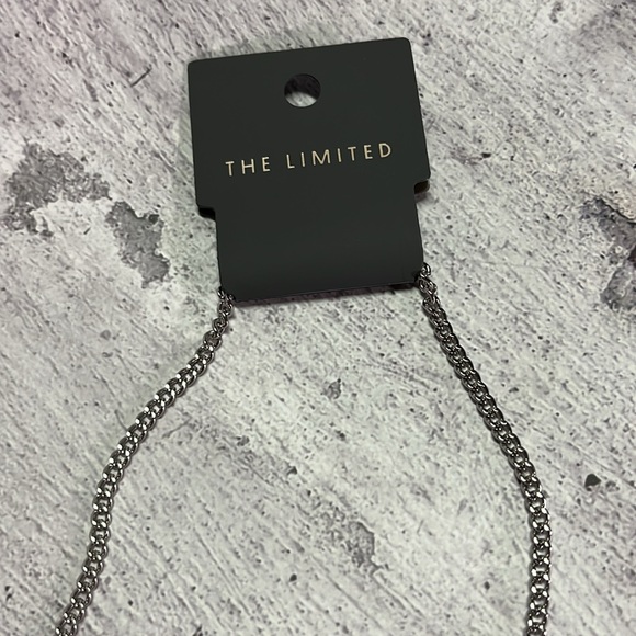 NWT The Limited Long Silver Fringe Tassel Necklace - Picture 8 of 9